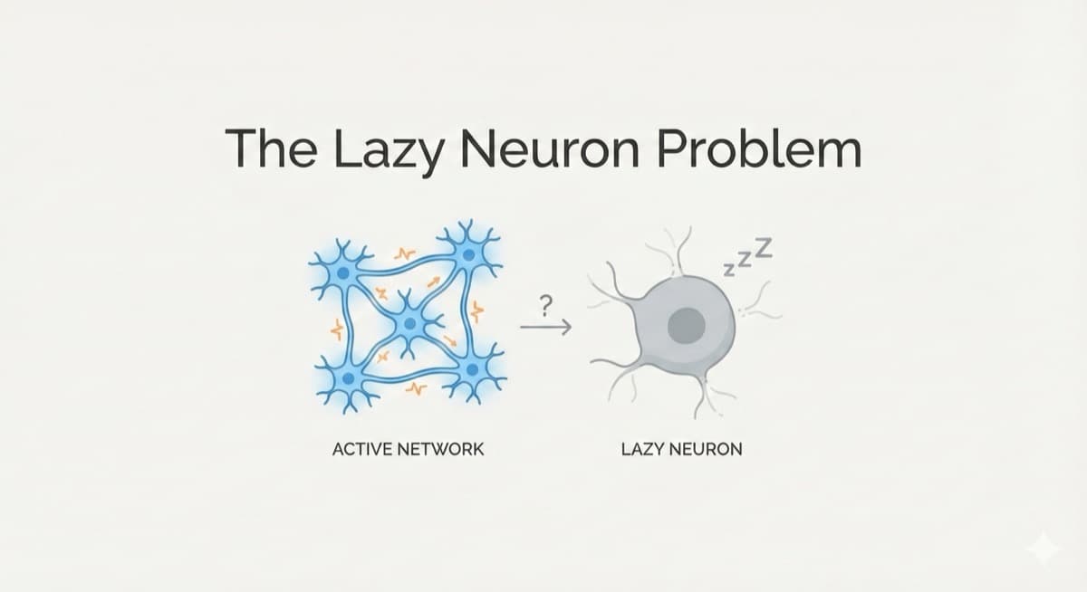 The Resilient Brain: Why Damaging Your Neural Network Makes It Smarter